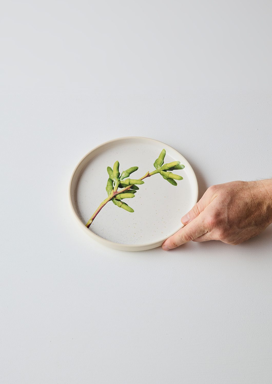 Australian Botanicals - Side Plate, Gum Frond
