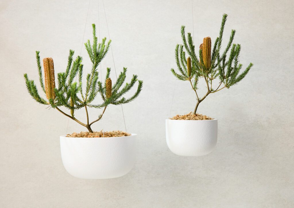 Hanging Planters