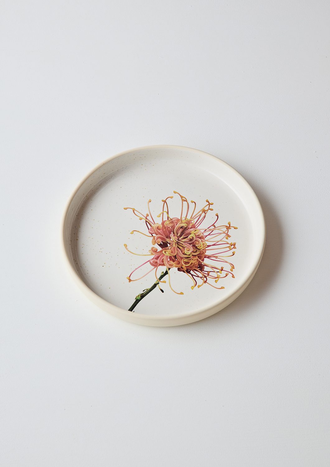 Australian Botanicals - Dinner Plate, Orange Grevillea Blossom
