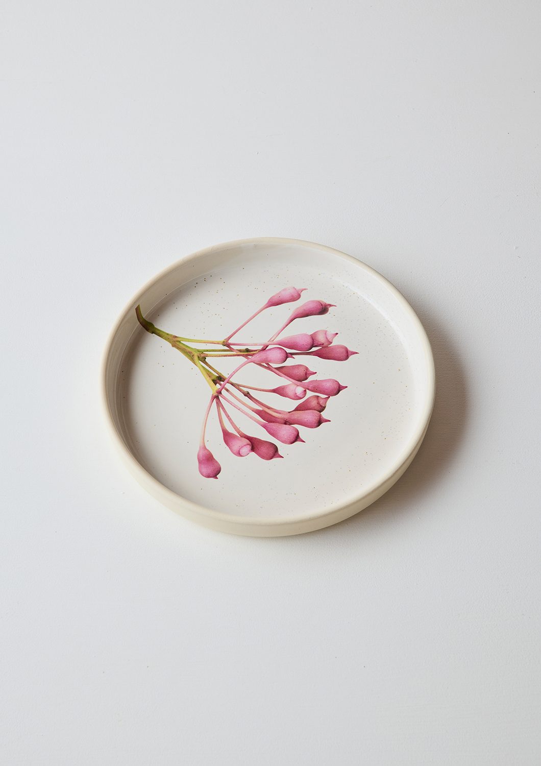 Australian Botanicals - Dinner Plate, Pink Eucalyptus