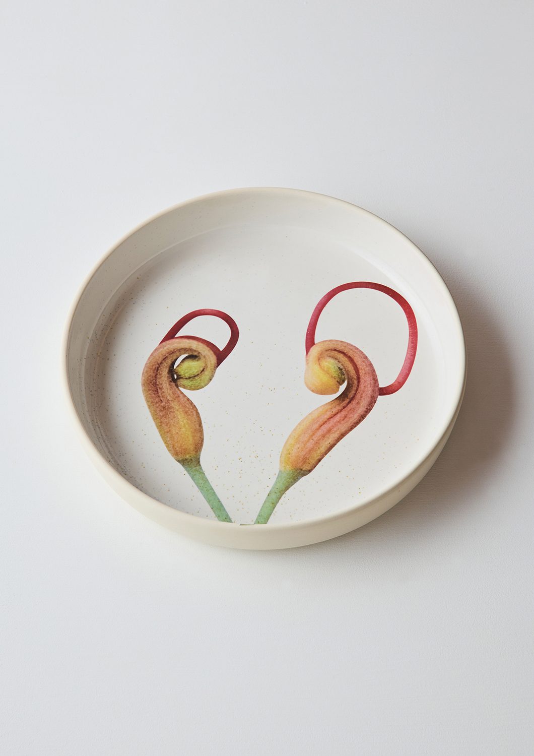 Australian Botanicals - Server Bowl, Grevillea Buds
