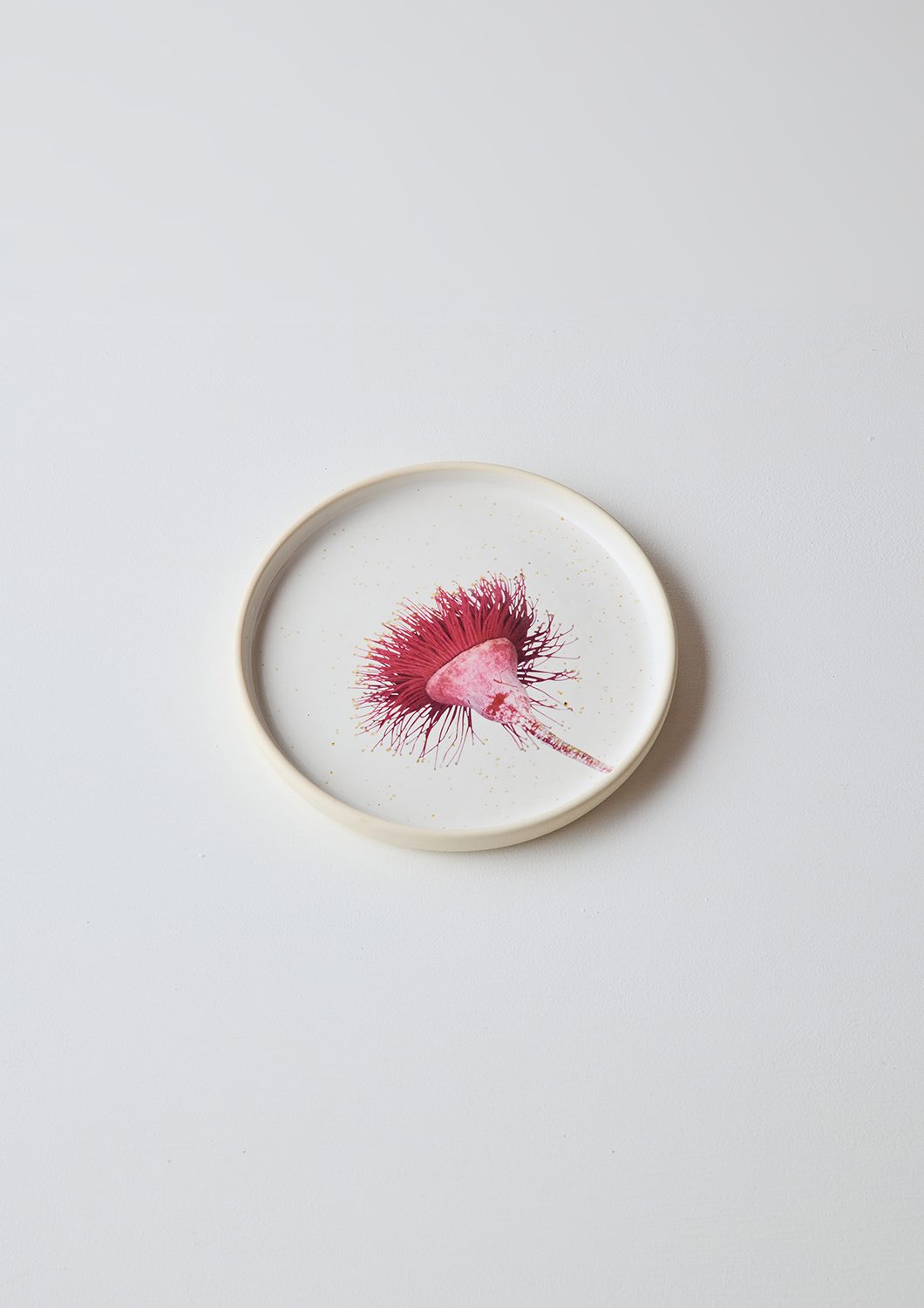Australian Botanicals - Side Plate, Gum Blossom