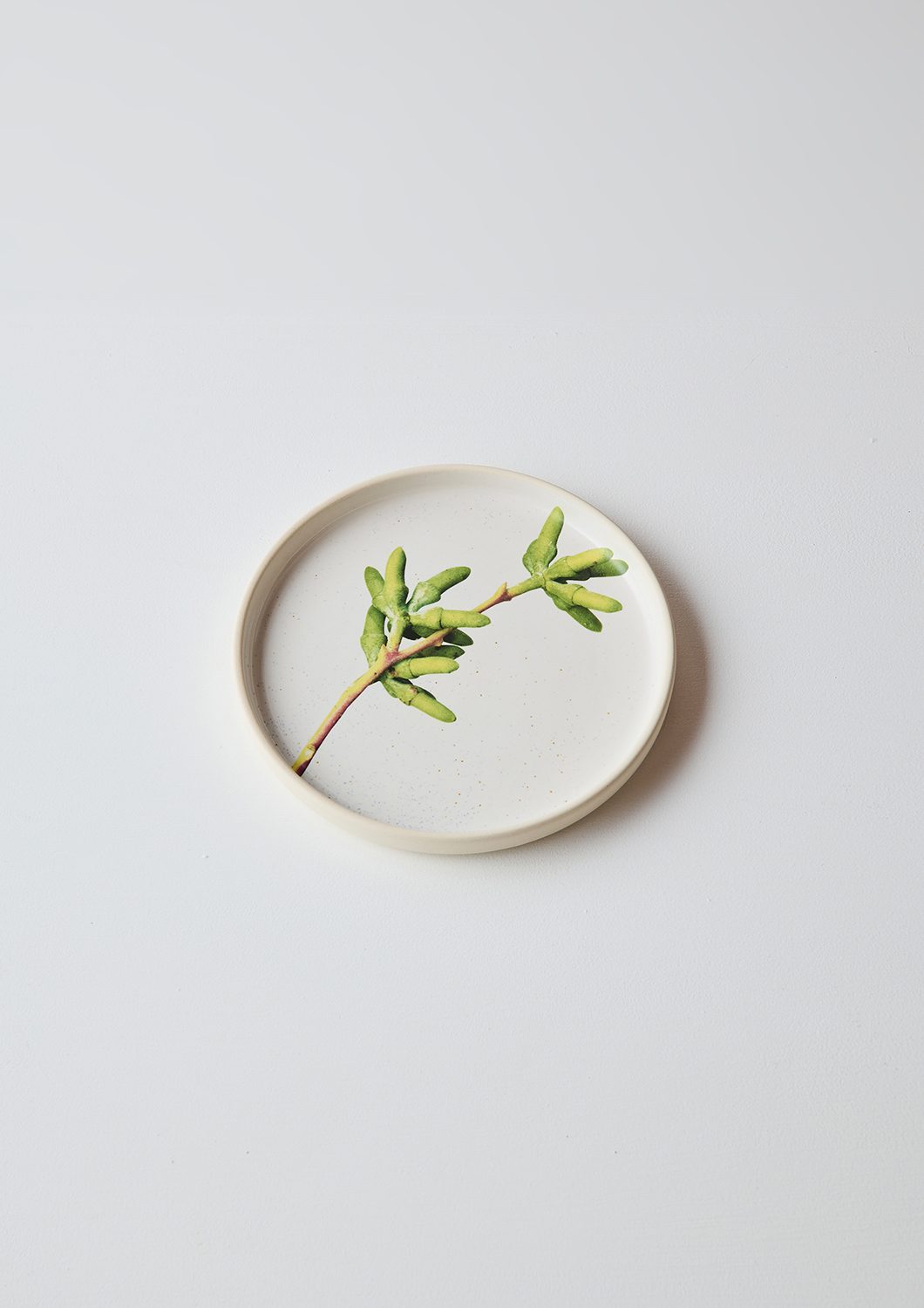 Australian Botanicals - Side Plate, Gum Frond